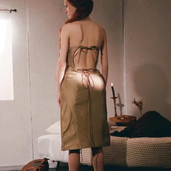 ZOE GUSTAVIA ANNA WHALEN stomacher gown corset dress small - Picture 3 of 15